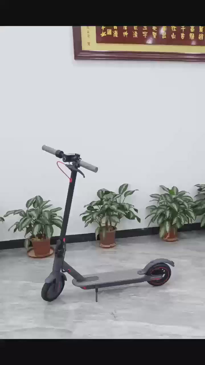 ELEKTRIČNI SKUTER D8 PRO